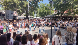 Με επιτυχία και μεγάλη συμμετοχή πραγματοποιήθηκε η εκδήλωση αφιέρωμα στην 