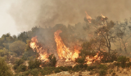 Υψηλός κίνδυνος δασικής πυρκαγιάς προβλέπεται αύριο και στην περιοχή μας image